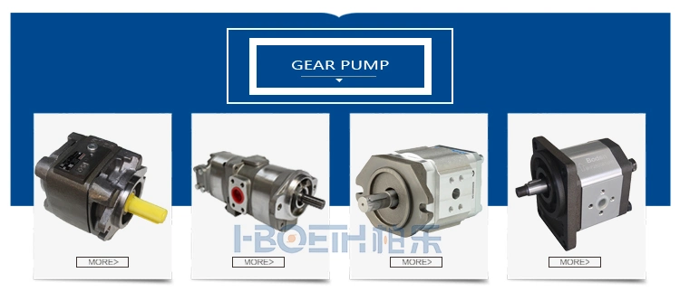 Rexroth Hydraulic Axial Piston Fixed Motor A2FM Series 70 A2fe Series A2FM/A2fe 70 045 056 063 080 090 107